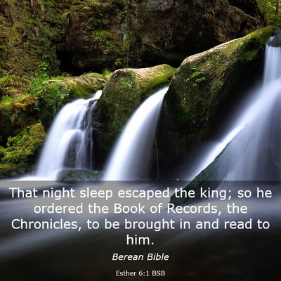 Picture 03 - Esther 6:1 BSB - That night sleep escaped the king; so he ordered - Bible Verse Picture