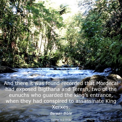 Picture 03 - Esther 6:2 BSB - And there it was found recorded that Mordecai had - Bible Verse Picture