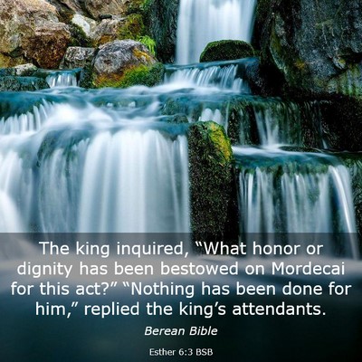 Picture 03 - Esther 6:3 BSB - The king inquired, “What honor or dignity has - Bible Verse Picture