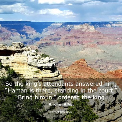 Picture 03 - Esther 6:5 BSB - So the king’s attendants answered him, “Haman - Bible Verse Picture