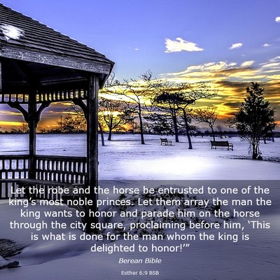 Picture 03 - Esther 6:9 BSB - Let the robe and the horse be entrusted to one of - Bible Verse Picture