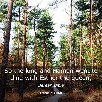 Picture 03 - Esther 7:1 BSB - So the king and Haman went to dine with Esther - Bible Verse Picture