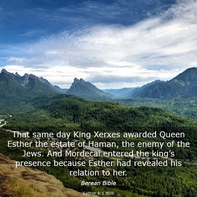 Picture 03 - Esther 8:1 BSB - That same day King Xerxes awarded Queen Esther - Bible Verse Picture