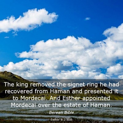Picture 03 - Esther 8:2 BSB - The king removed the signet ring he had recovered - Bible Verse Picture