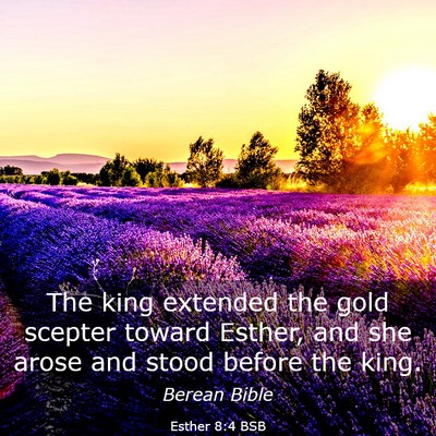 Picture 03 - Esther 8:4 BSB - The king extended the gold scepter toward Esther, - Bible Verse Picture