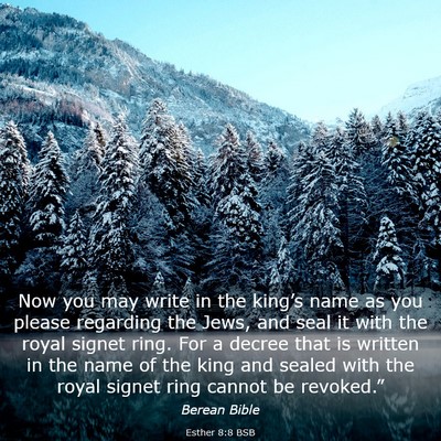 Picture 03 - Esther 8:8 BSB - Now you may write in the king’s name as you - Bible Verse Picture