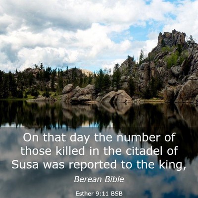 Picture 03 - Esther 9:11 BSB - On that day the number of those killed in the - Bible Verse Picture