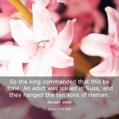 Picture 03 - Esther 9:14 BSB - So the king commanded that this be done. An edict - Bible Verse Picture