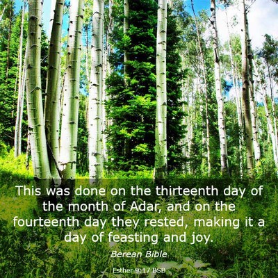 Picture 03 - Esther 9:17 BSB - This was done on the thirteenth day of the month - Bible Verse Picture