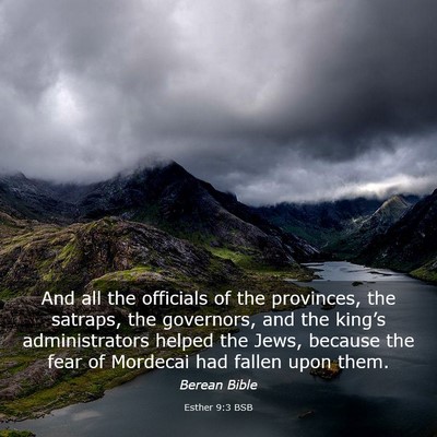 Picture 03 - Esther 9:3 BSB - And all the officials of the provinces, the - Bible Verse Picture
