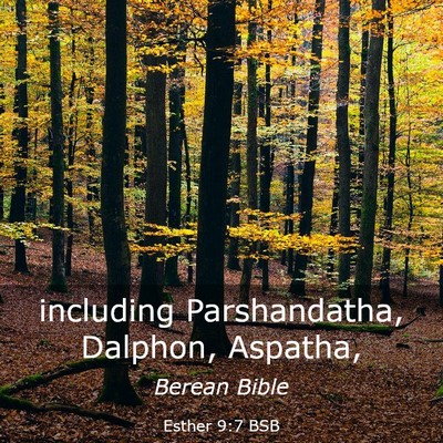 Picture 03 - Esther 9:7 BSB - including Parshandatha, Dalphon, - Bible Verse Picture