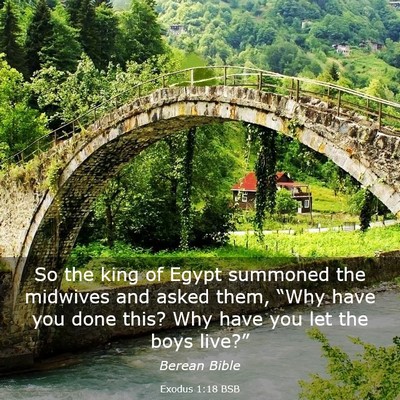 Picture 03 - Exodus 1:18 BSB - So the king of Egypt summoned the midwives and - Bible Verse Picture