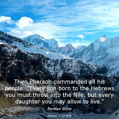 Picture 03 - Exodus 1:22 BSB - Then Pharaoh commanded all his people: “Every - Bible Verse Picture