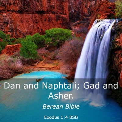 Picture 03 - Exodus 1:4 BSB - Dan and Naphtali; Gad and - Bible Verse Picture