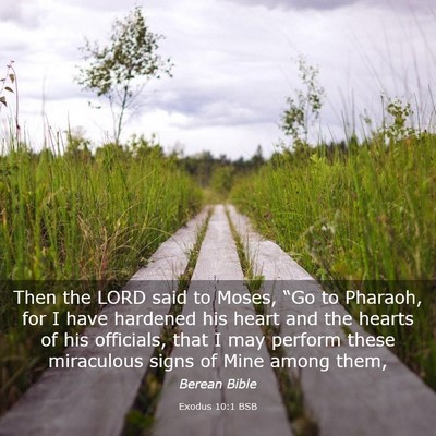 Picture 03 - Exodus 10:1 BSB - Then the LORD said to Moses, “Go to Pharaoh, - Bible Verse Picture