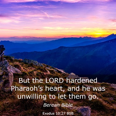 Picture 03 - Exodus 10:27 BSB - But the LORD hardened Pharaoh’s heart, and he - Bible Verse Picture