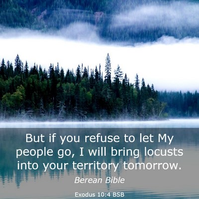 Picture 03 - Exodus 10:4 BSB - But if you refuse to let My people go, I will - Bible Verse Picture