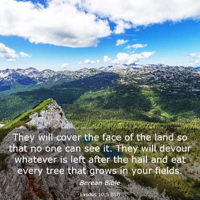 Picture 03 - Exodus 10:5 BSB - They will cover the face of the land so that no - Bible Verse Picture
