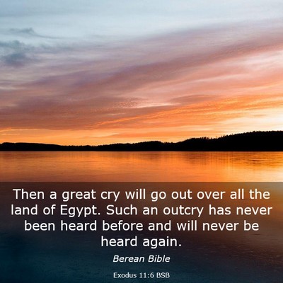 Picture 03 - Exodus 11:6 BSB - Then a great cry will go out over all the land of - Bible Verse Picture