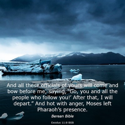 Picture 03 - Exodus 11:8 BSB - And all these officials of yours will come and - Bible Verse Picture