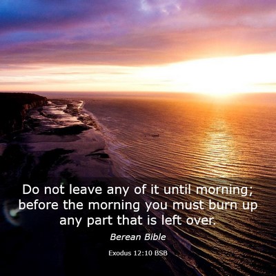 Picture 03 - Exodus 12:10 BSB - Do not leave any of it until morning; before the - Bible Verse Picture