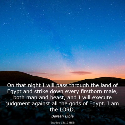 Picture 03 - Exodus 12:12 BSB - On that night I will pass through the land of - Bible Verse Picture