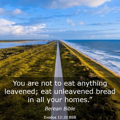 Picture 03 - Exodus 12:20 BSB - You are not to eat anything leavened; eat - Bible Verse Picture