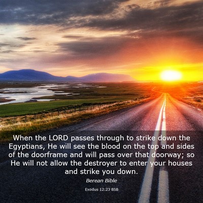 Picture 03 - Exodus 12:23 BSB - When the LORD passes through to strike down the - Bible Verse Picture
