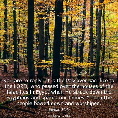 Picture 03 - Exodus 12:27 BSB - you are to reply, ‘It is the Passover sacrifice - Bible Verse Picture