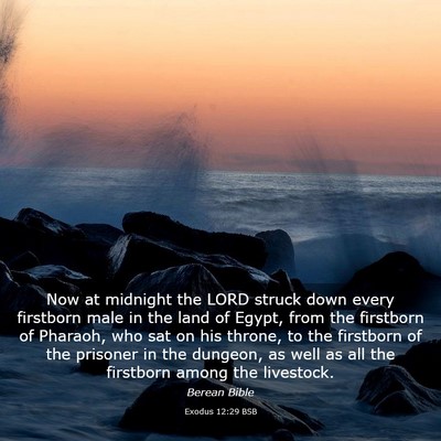 Picture 03 - Exodus 12:29 BSB - Now at midnight the LORD struck down every - Bible Verse Picture
