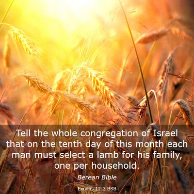 Picture 03 - Exodus 12:3 BSB - Tell the whole congregation of Israel that on the - Bible Verse Picture