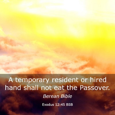 Picture 03 - Exodus 12:45 BSB - A temporary resident or hired hand shall not eat - Bible Verse Picture