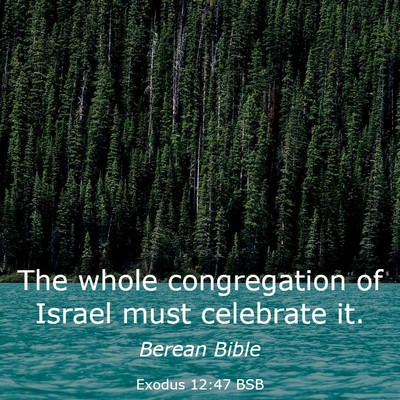 Picture 03 - Exodus 12:47 BSB - The whole congregation of Israel must celebrate - Bible Verse Picture