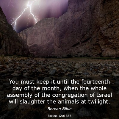 Picture 03 - Exodus 12:6 BSB - You must keep it until the fourteenth day of the - Bible Verse Picture