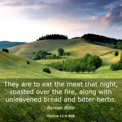 Picture 03 - Exodus 12:8 BSB - They are to eat the meat that night, roasted over - Bible Verse Picture