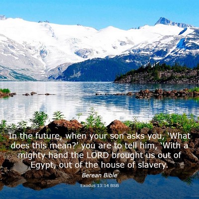 Picture 03 - Exodus 13:14 BSB - In the future, when your son asks you, ‘What - Bible Verse Picture
