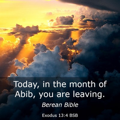 Picture 03 - Exodus 13:4 BSB - Today, in the month of Abib, you are - Bible Verse Picture