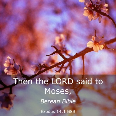 Picture 03 - Exodus 14:1 BSB - Then the LORD said to - Bible Verse Picture