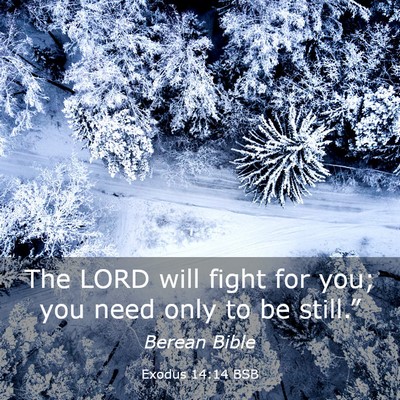 Picture 03 - Exodus 14:14 BSB - The LORD will fight for you; you need only to be - Bible Verse Picture