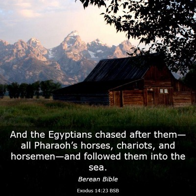 Picture 03 - Exodus 14:23 BSB - And the Egyptians chased after them—all - Bible Verse Picture