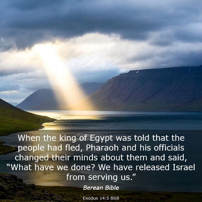 Picture 03 - Exodus 14:5 BSB - When the king of Egypt was told that the people - Bible Verse Picture