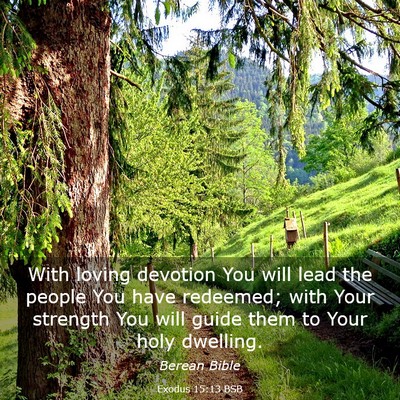 Picture 03 - Exodus 15:13 BSB - With loving devotion You will lead the people You - Bible Verse Picture