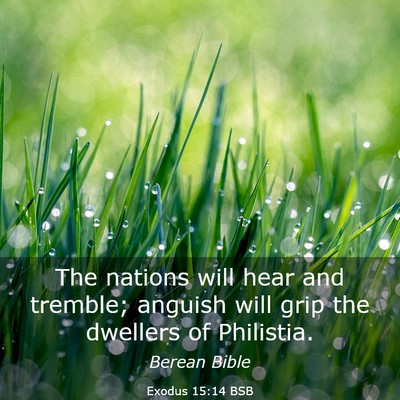 Picture 03 - Exodus 15:14 BSB - The nations will hear and tremble; anguish will - Bible Verse Picture