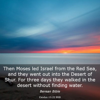 Picture 03 - Exodus 15:22 BSB - Then Moses led Israel from the Red Sea, and they - Bible Verse Picture