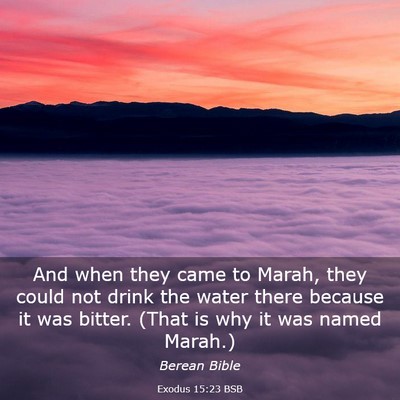 Picture 03 - Exodus 15:23 BSB - And when they came to Marah, they could not drink - Bible Verse Picture