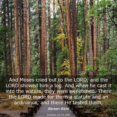 Picture 03 - Exodus 15:25 BSB - And Moses cried out to the LORD, and the LORD - Bible Verse Picture