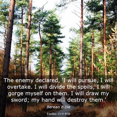 Picture 03 - Exodus 15:9 BSB - The enemy declared, ‘I will pursue, I will - Bible Verse Picture