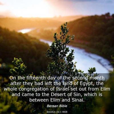 Picture 03 - Exodus 16:1 BSB - On the fifteenth day of the second month after - Bible Verse Picture