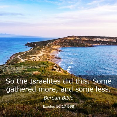 Picture 03 - Exodus 16:17 BSB - So the Israelites did this. Some gathered more, - Bible Verse Picture