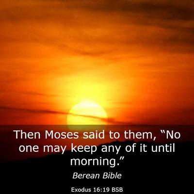 Picture 03 - Exodus 16:19 BSB - Then Moses said to them, “No one may keep any - Bible Verse Picture